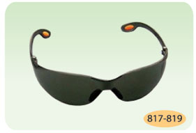 Kính bảo hộ dơi đen 817-819